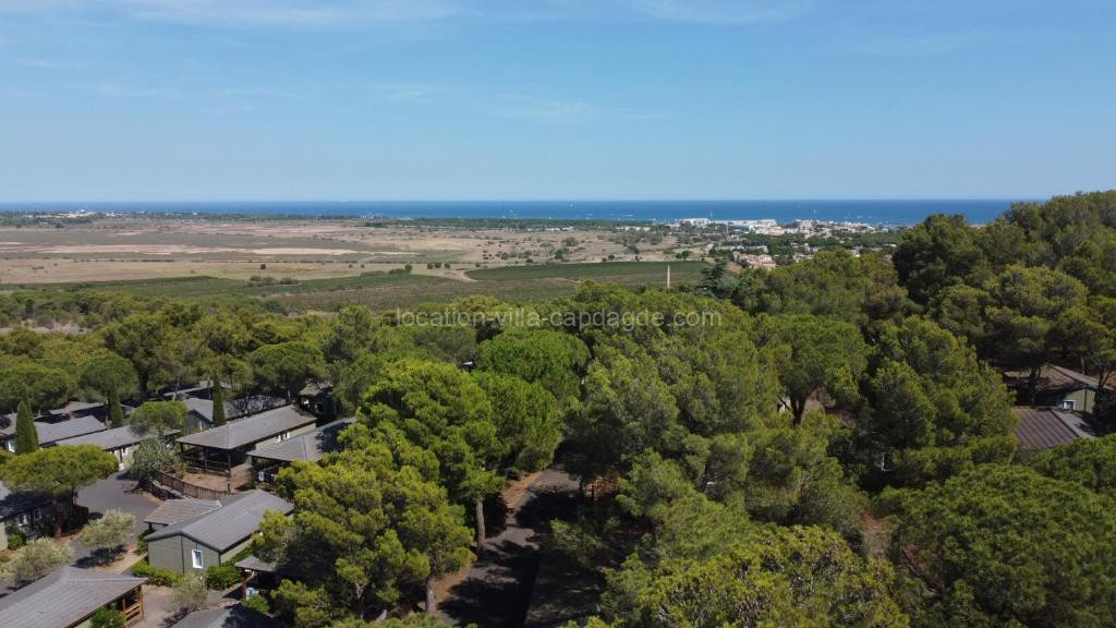 photo de Chalet familial entre les pins