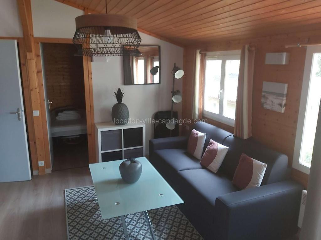 Photo de Chalet climatisé avec piscine chauffée et parking dans une pinède calme - FR-1-607-64