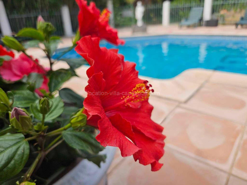Photo de Les jardins du Patriarche Hôtel